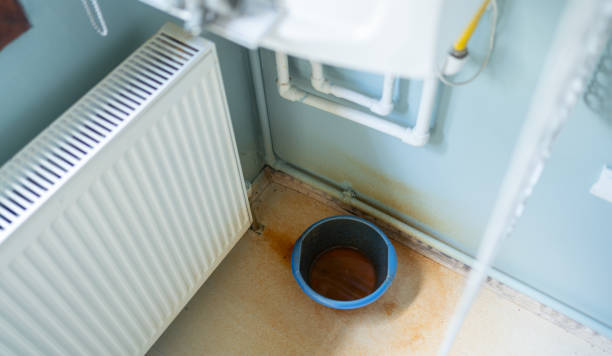 Best Mold removal after water damage  in Malvern, IA